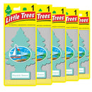 🌲✨ Kit 5 Aromatizantes Little Trees